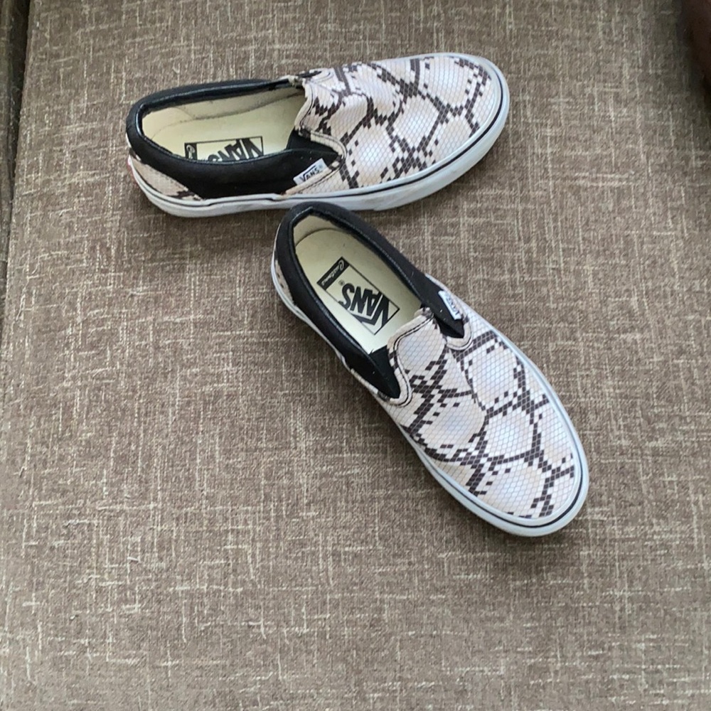Custom vans